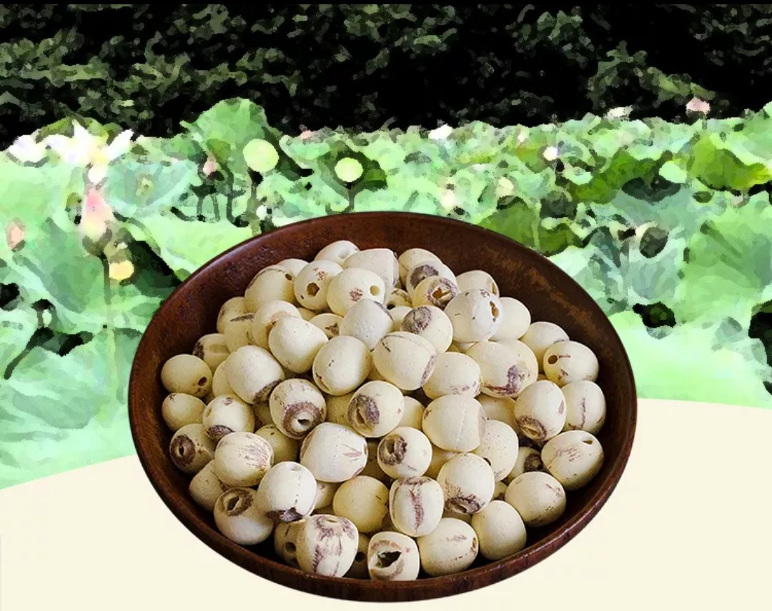 包邮冲量大促·500g野生莲子干货 磨皮小白莲子洪湖莲子有芯去芯可选