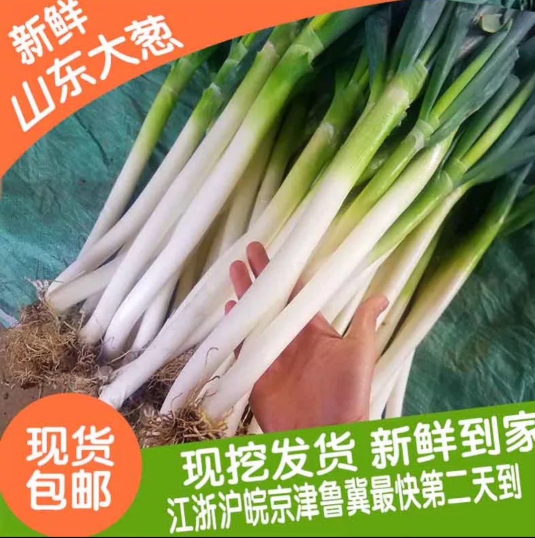 金豹红葡萄酒750ml*6 12%