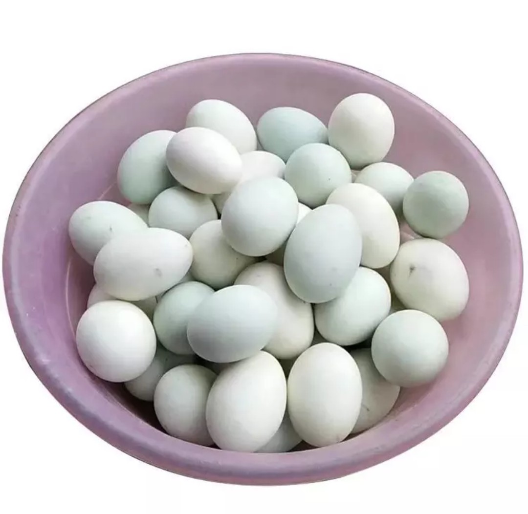 包邮【大个鸭蛋】新鲜绿壳生鸭蛋65-80g农家放养青壳鸭蛋4/10/20枚