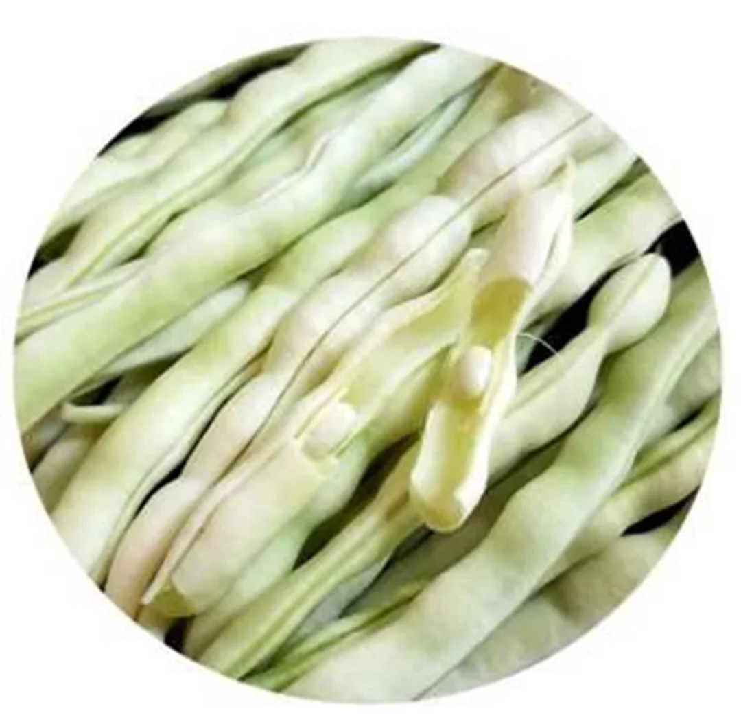 包邮贵州新鲜四季豆新鲜老来少豆角白不老豆角新鲜芸豆角新鲜白芸豆-