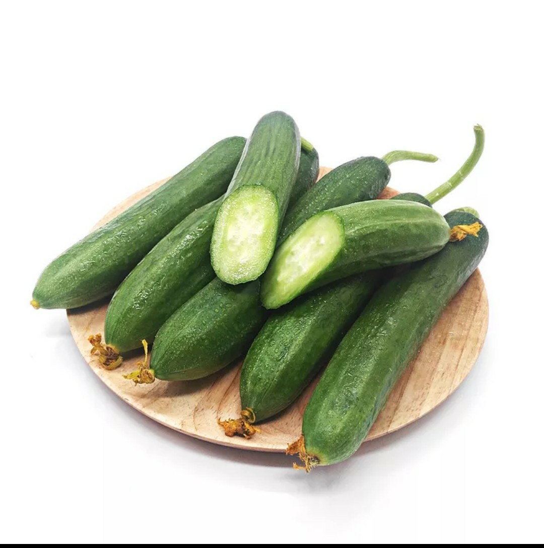 包邮现摘超值5斤装水果黄瓜爽口减肥水果黄瓜新鲜荷兰黄瓜无刺小青瓜