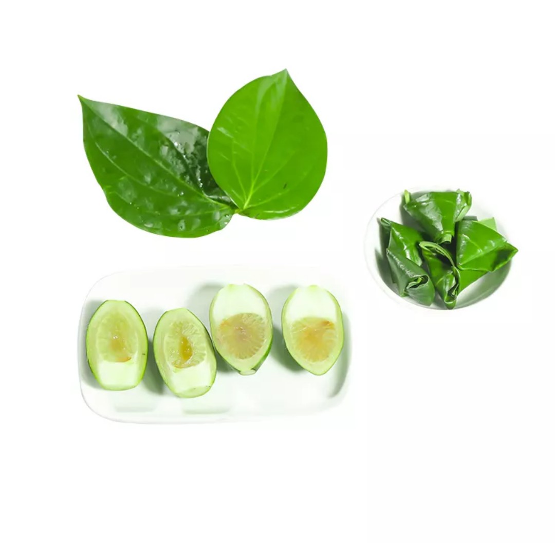 包邮海南槟榔新鲜青槟榔果 提神戒烟 散装生槟榔果 现摘水果槟榔