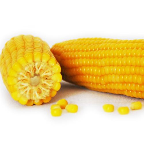 包邮东北正宗 玉米胚芽油5l 一级压榨烧烤烘焙健康营养家用植物食用油