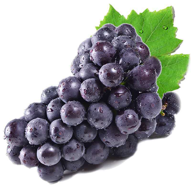 云南夏黑无籽葡萄新鲜当季水果黑提子黑加仑无籽葡萄红提美人指青提
