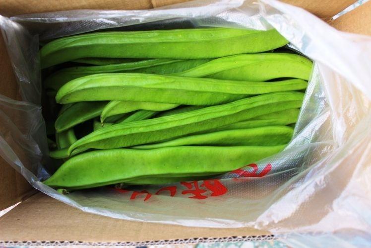 刀豆 现摘新鲜生刀豆 新鲜蔬菜农家自种嫩刀豆剁椒原料刀把豆5斤